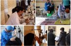 طرح جهادی- درمانی شرکت مس در گلباف کرمان برگزار شد