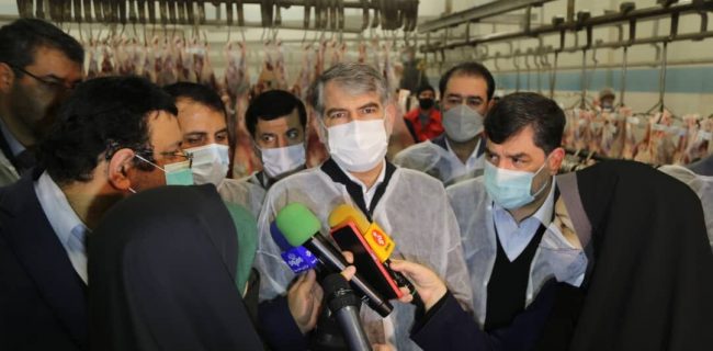 وزیر جهاد کشاورزی: وضعیت تولید و ذخایر گوشت قرمز، مرغ و تخم مرغ مطلوب است