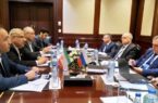 مذاکرات فشرده وزیر نفت در قاهره/ از تجارت گاز تا صادرات فرآورده‌های نفتی