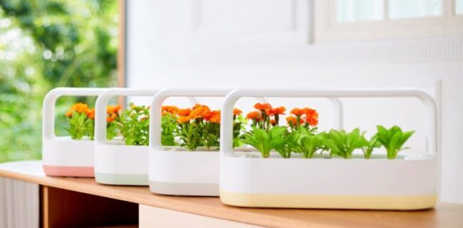 حال­وهوای پرورش گیاهان و سبزیجات در خانه با محصول نوآورانه و پر طرفدار LG tiiun