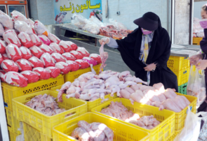 افزایش قیمت گوشت مرغ صحت ندارد/ تولید صادرات‌محور برنامه دولت سیزدهم