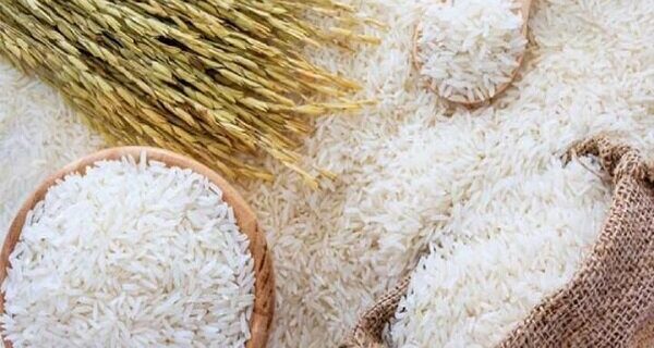 خرید برنج مازاد کشاورزان/ راهکارهای جلوگیری از گرانفروشی نان
