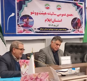 فدراسیون ووشو از نظر زیرساختها ضعیف است فدراسیون ووشو از نظر زیرساختها ضعیف است