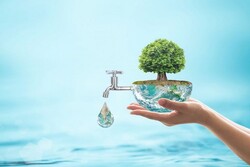 عضو اتاق بازرگانی: اگر الگوی مصرف اصلاح میشد امروز کشوری ثروت بودیم عضو اتاق بازرگانی: اگر الگوی مصرف اصلاح میشد امروز کشوری ثروت بودیم