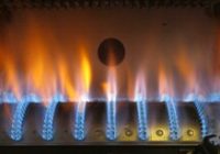 مصرف گاز بخش خانگی به ۶۴۵ میلیون مترمکعب رسید مصرف گاز بخش خانگی به ۶۴۵ میلیون مترمکعب رسید